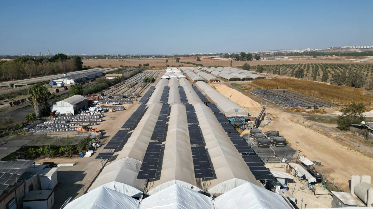 מערכת סולארית על חממות לצריכה עצמית